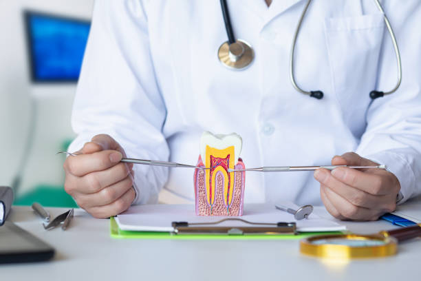 Best Urgent Dental Care for Toothache in Mount Olive, AL